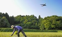Japan May Have Tricky Time Passing TPP After Making Concessions on Rice, Beef