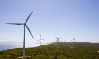 Why Some Companies Are Becoming Environmental Activists