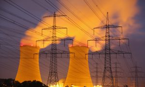 Nuclear Power Plants in the Age of Cyberterrorism