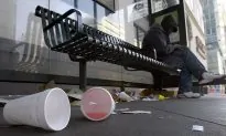 Hungry Mealworms Can Recycle Styrofoam Trash