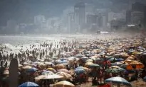 Sharks Off Coast of Brazil Test Positive for Cocaine: Study
