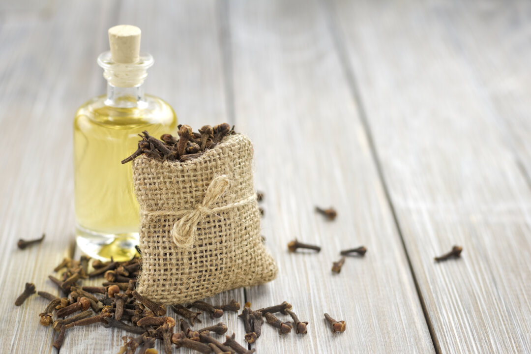 If using clove oil, dilute it with olive oil or another carrier oil before applying it to the affected area.(YelenaYemchuk/iStock)