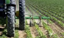 For Organic Farms, Tillage Is a Double-Edged Sword