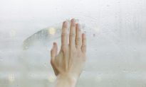 Fake Skin Sends Pressure Signals to Brain Cells
