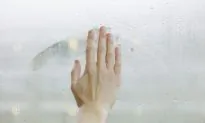 Fake Skin Sends Pressure Signals to Brain Cells