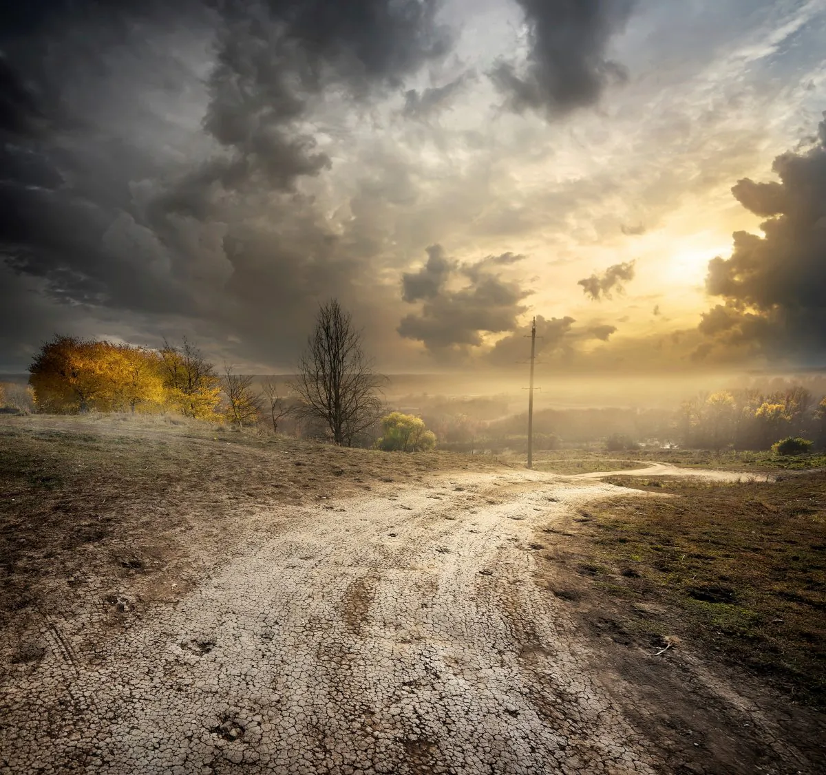 (Givaga/iStock)
