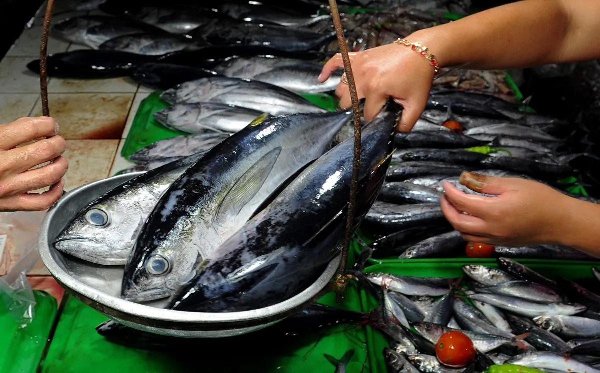 A vendor weighs yellowfin tuna on Oct. 2, 2015. (Jay Directo/AFP/Getty Images)