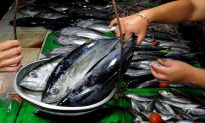 FDA Issues Warning About Tuna Fish as Officials Probe Illness Outbreak
