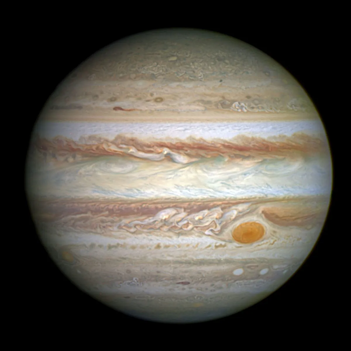 Jupiter and its shrunken Great Red Spot. (NASA, ESA, and A. Simon [Goddard Space Flight Center])