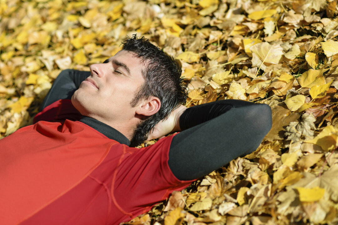 ( Dirima/iStock)