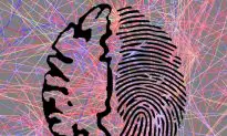 Brain Activity Is as Unique—and Identifying—as a Fingerprint