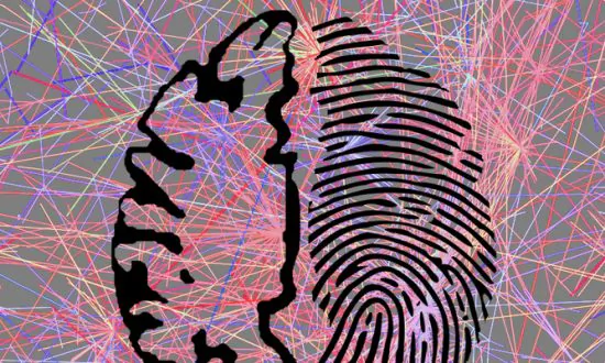 Brain Activity Is as Unique—and Identifying—as a Fingerprint