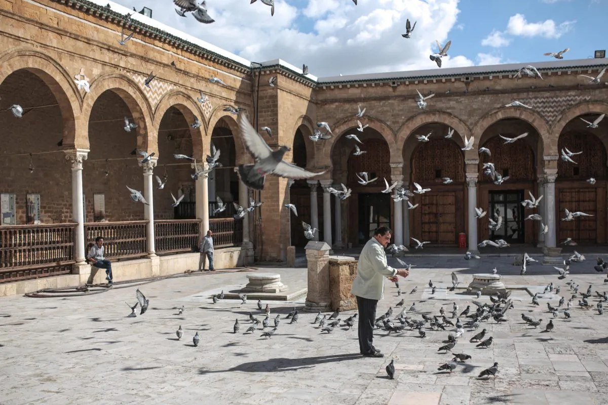A man feeds pigeons in the courtyard of Ezzitouna Mosque, the oldest mosque in Tunisia on Oct. 23, 2015. (AP Photo/Mosa'ab Elshamy)