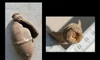 Ground Hog Excavates Mysterious Artifact in Pennsylvania: Ancient Grenade?