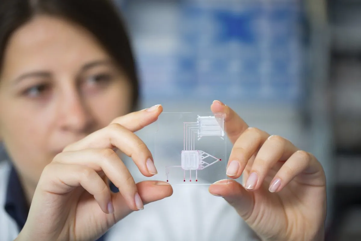 A lab on chip is device integrates several laboratory processes in one device, in woman hand