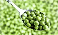 The Future of Protein Will Not Be Animal Meat