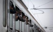 Slovenia Starts Building Migrant Fence at Border to Croatia