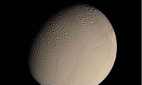 Saturn’s Moon Enceladus to Be Examined by Spacecraft Cassini for Signs of Life