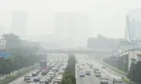 Singapore Urges ASEAN to Act on Lethal Haze
