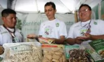 Indigenous From Amazon See Brazil Nut as Forest’s Future