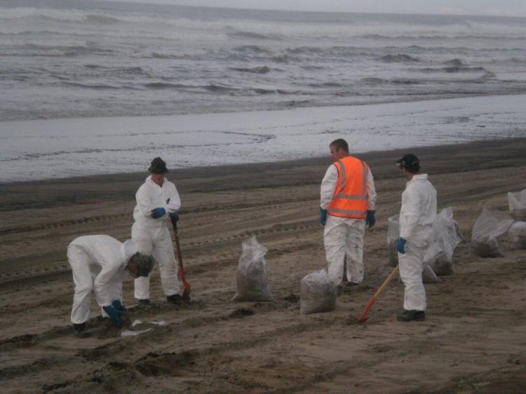 Clean-up teams removing oil spill from Tauranga beaches. Up to 350 more tons of oil has spilled from the 'Rena' a Liberan cargo ship (The Epoch Times) Clean-up teams removing oil spill from Tauranga beaches. Up to 350 more tons of oil has spilled from the 'Rena' a Liberan cargo ship (The Epoch Times)