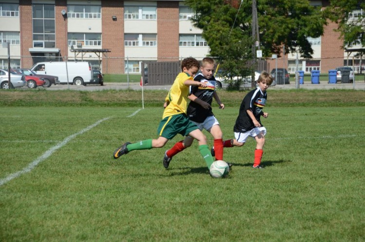 (The Epoch Times) (The Epoch Times)