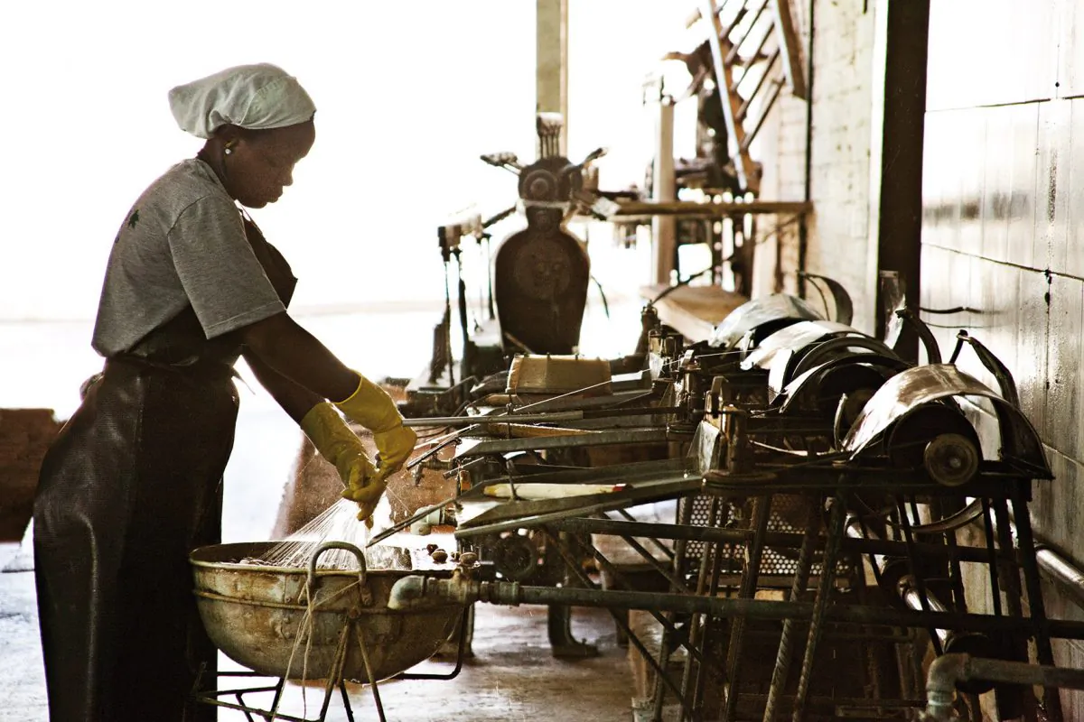 Artisans hand-weaving organic silk in the state of Paraná, South of Brazil.