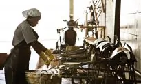 Of Pirarucu Skins and Other Sustainable Things