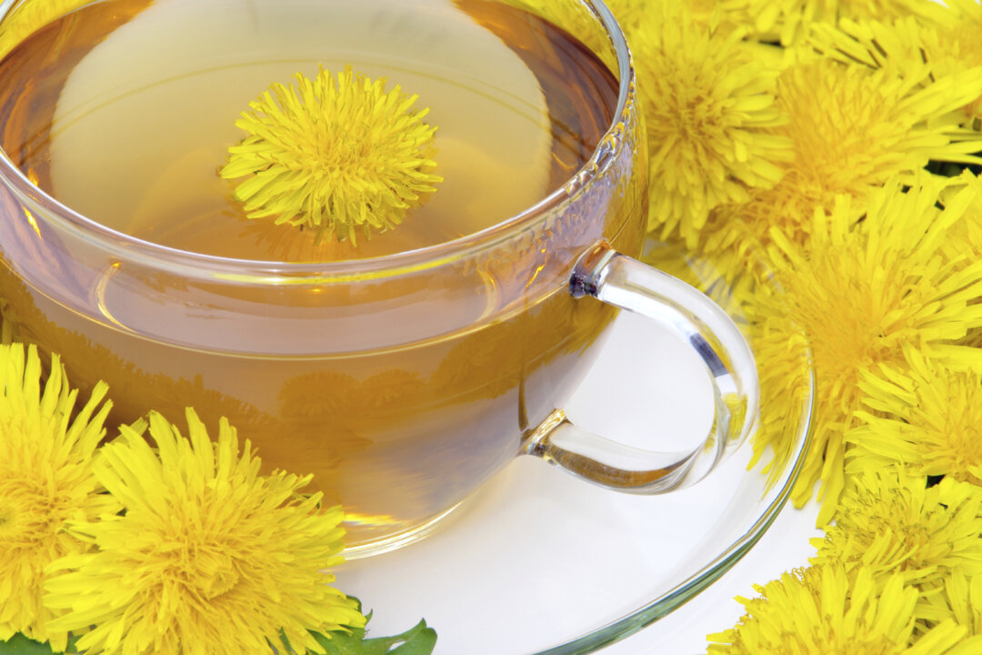 Tee Löwenzahn - tea dandelion 08