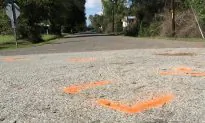 Louisiana Police Arrest 2 Officers in Autistic Boy’s Death