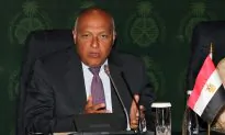 Egypt FM: Western Countries Haven’t Helped in War on Terror