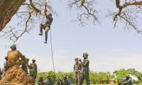 Armed Groups Target Elephants in Congo Park