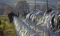 Slovenia Starts Building Migrant Fence at Border to Croatia
