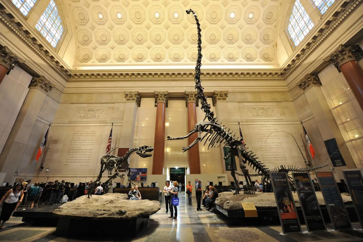 The rotunda at the American Museum of Natural History. (Courtesy of the American Museum of Natural History)