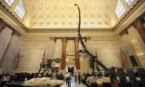 NYC Museum Shuts Down Native American Exhibits After Federal Rule Changes