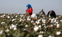China-US Tensions Intensify: US Bill Targets Beijing Over Uyghur Forced Labor