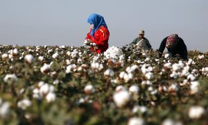 China-US Tensions Intensify: US Bill Targets Beijing Over Uyghur Forced Labor