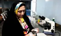 Iran Seeks Revival of Caviar Industry in Post-Sanctions Era