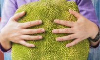 Jackfruit, the Delicious Meat Substitute