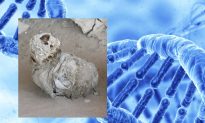 Ancient Peruvian Mummy Surprises Researchers With Antibiotic-Resistant Genes
