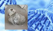 Ancient Peruvian Mummy Surprises Researchers With Antibiotic-Resistant Genes