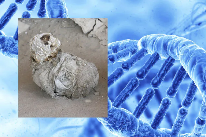 A file photo of a mummy (Zysman/iStock) Background: An illustration of DNA (Svisio/iStock)