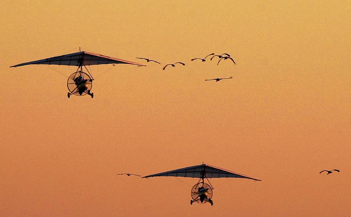 An ultralight plane leads eight experimental whooping cranes as they depart Necedah National Wildlife Refuge in Necedah, Wis., on Oct. 17, 2001. (AP Photo/Morry Gash)