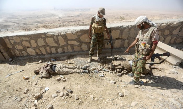 Iraqi Shiite fighters from the Popular Mobilization units, fighting alongside Iraqi forces, look at bodies of Islamic State (ISIS) fighters during a military operation against ISIS jihadists in the Makhoul mountains, north of Baiji, on Oct. 17, 2015. After recapturing parts of Baiji and the huge nearby refinery complex from ISIS, security and allied paramilitary forces thrust further northward up the main highway leading to Mosul. (Ahmad al-Rubaye/AFP/Getty Images)