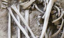 Giant 7-Foot to 8-Foot Skeletons Uncovered in Ecuador Sent for Scientific Testing