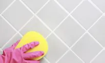 How to Get Rid of Black Mold for Good (Infographic)