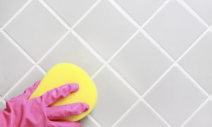 How to Get Rid of Black Mold for Good (Infographic)