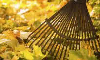 4 Practices Required to Live a Truly Healthy Life