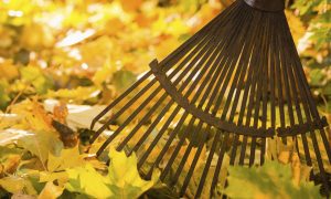 4 Practices Required to Live a Truly Healthy Life