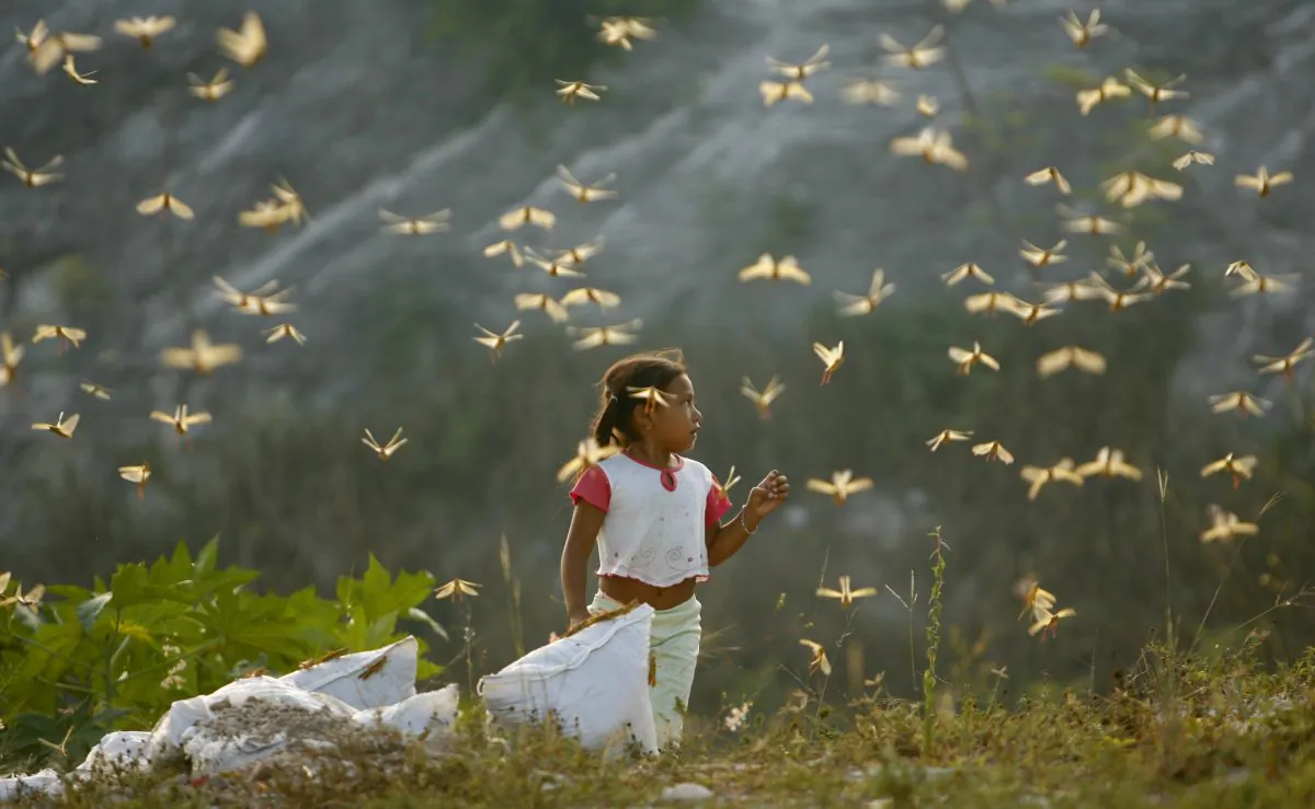 ** FOR USE WITH YEAR END--FILE **Diana Rubi Pech Dzu, 4, walks among a cloud of locusts in the city of Cancun, Mexico, in this Sept. 25, 2006, file photo. A locust plague invaded the outskirts of this resort city. (AP Photo/Dario Lopez-Mills/FILE)